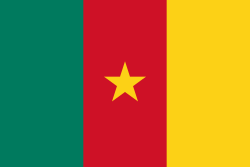 Cameroon owned debt to chinese